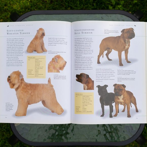 Book: Dog Breeds of the World - Picture 4 of 8